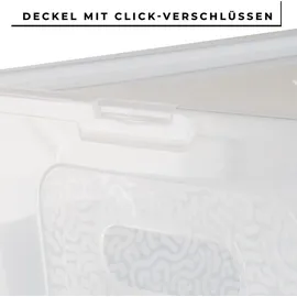 Centi 2er Set Aufbewahrungsboxen mit Deckel Plastikbox 5L transparent mit Griffen