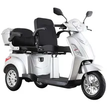 ECONELO E-Seniorenmobil Billy 2.0 3-Rad 1000 Watt Silber/Grau