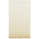 GARDINIA Plissee Concept Tageslicht 50 x 130 cm beige