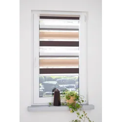 Doppelrollo LIEDECO "dreifarbig" Gr. 1, braun (braun, beige), B:45cm H:160cm, Polyester, Rollos