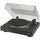 JBL Spinner BT Schwarz/Gold