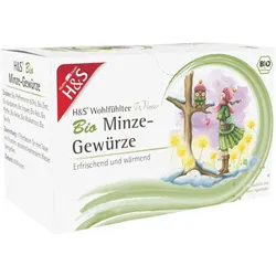 H&S Wintertee Bio Minze-Gewürze Filterbeutel