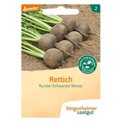 Bingenheimer Saatgut - Rettich runder schwarzer Winter
