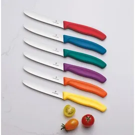 Victorinox Swiss Classic Frühstücksmesser Set 6-tlg. 11 cm mehrfarbig