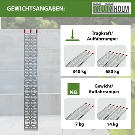 Baumarktplus TRUTZHOLM 1 x Auffahrrampe Klappbar 228 cm Grau