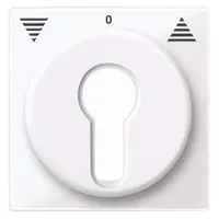 Merten Zentralplatte aws/gl 319425