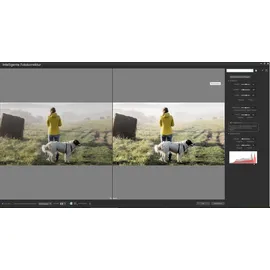 Corel PaintShop Pro 2023 - [PC]