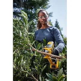 DeWalt [DCMPP568P1-QW]