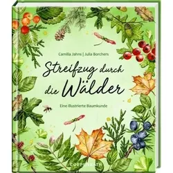 Streifzug durch die Wälder