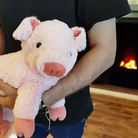 COZY NOXXIEZ Noxxiez Ferkel mit Mama 30 cm Rosa