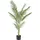 Creativ green Kunstpalme Phönixpalme, Creativ green, Höhe 150 cm, mit 12 Wedeln grün