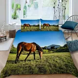 DILANI Bettwäsche 135x200 Pferd Bettwäsche-Sets 3 Teilig 3D Tier Bettbezug Weich Mikrofaser Bettbezüge mit Reißverschluss und Kissenbezug 80x80cm für Erwachsene Kinder