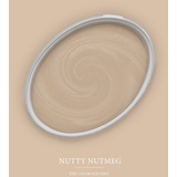 A.S. Création - Wandfarbe Beige Nutty Nutmeg 5L