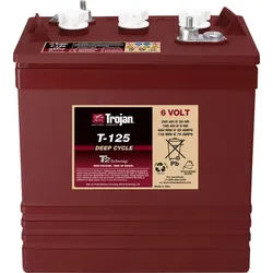 Trojan T-125 6V 240Ah deep cycle Batterie