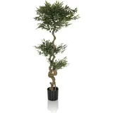 HJH Office Kunstpflanze ACACIA 155 cm Grün