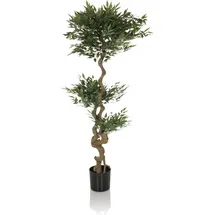 HJH Office Kunstpflanze ACACIA 155 cm Grün