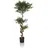 HJH Office Kunstpflanze ACACIA 155 cm Grün