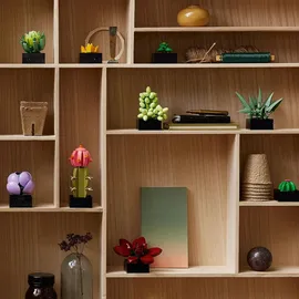 LEGO Creator Expert Sukkulenten 10309