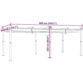 vidaXL Gartenpavillon mit ausziehbarem Dach 3 x 6 m anthrazit