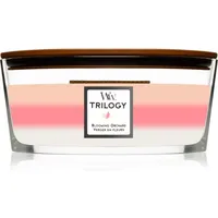 Woodwick Blooming Orchard Duftkerze 453,6 g rosa