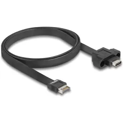 Delock USB-Kabel - 20-polig USB Typ E (M)