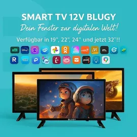 blugy 19" LED Smart TV 12V