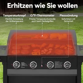Royal Gourmet 4-Brenner Gasgrill 10 kW grau