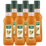Mathieu Teisseire Getränke-Sirup Maracuja 0,25L (6er Pack)