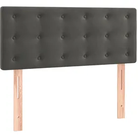 vidaXL Boxspringbett mit Matratze & LED Dunkelgrau 120x200 cm Samt