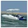 vidaXL Bimini-Top 3-Bow 183x(137-152)x137 cm Polyester Schwarz