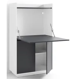byLIVING Sekretär Hannes Breite 80 cm schwarz