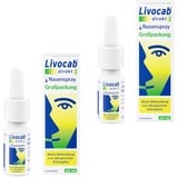 Livocab Nasenspray Doppelpack