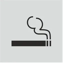 Türschild - Rauchen gestattet - Edelstahl-Optik