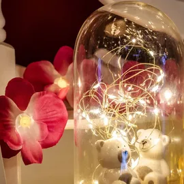 Hellum LED Lichterkette 1,35 m warmweiß Rosa