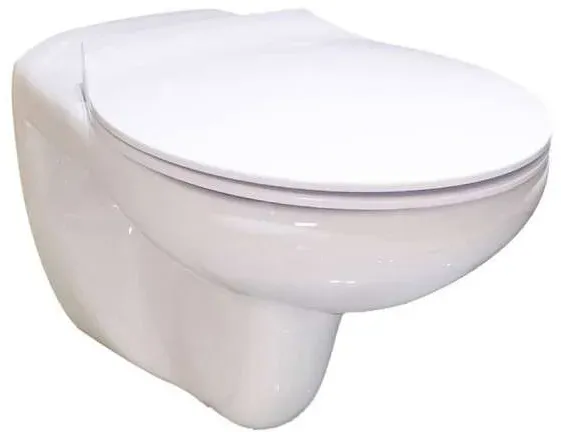 Leysser Duschmeister Wand-WC spülrandlos V14 inkl... - Badkeramik