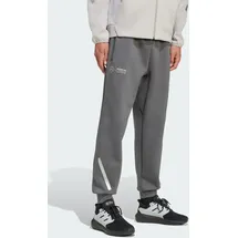 adidas PERFORMANCE Sporthose Mercedes-AMG Petronas F1 Team Silver Arrows, Größe M in grau / hellgrau MxRegular