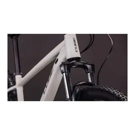 Cube Aim Pro 2026 29 Zoll RH 21 cm greige 'n' titan
