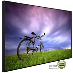 papermoon Infrarotheizung »EcoHeat - Fahrrad in Grünland«, Matt-Effekt - bunt
