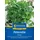 Kiepenkerl Profi-Line Petersiliensamen Peione 1055850 - verbesserter "Gigante d ́italia", großblättrig und aromatisch - Pflanzen Samen, Saatgut, Kräutersamen