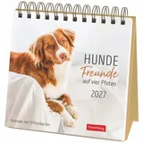 Harenberg Hunde Premium-Postkartenkalender 2027 Weiß