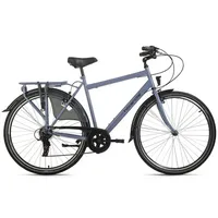 Hollandia Hollandrad Herren 28" City Next Blau RH 56