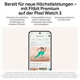 Google Pixel Watch 3 45 mm Bluetooth matte hazel Sportarmband hazel