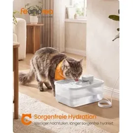 Songmics FEANDREA Katzenbrunnen, 4,5 L Trinkbrunnen für Katzen, Leise mit Filtern und Trockenlaufschutz weiß