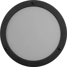 LEDVANCE Bathroom Ceiling Luminaire (4099854103339) Schwarz
