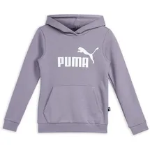 Puma Essentials Logo Hoodie Mädchen 30 pale plum 176