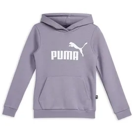 Puma Essentials Logo Hoodie Mädchen 30 pale plum 176