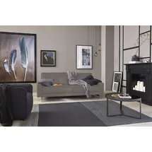 creation by rolf benz 3-Sitzer "CR.450, Designsofa, Loungesofa", beige (beigegrau 534, 26), B:204cm H:85cm T:95cm, Jacquard-Flachgewebe Diane 1 Q2 (55% Polyacryl 45% Polyester), CREATION BY ROLF BENZ, Sofas, Armlehne niedrig, Fuß chromfarben glänzend, Breite 204 cm