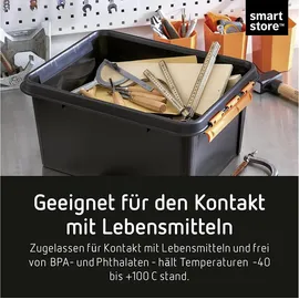 orthex PROFI-Box 40 x 30 x 19 cm 14-tlg. schwarz