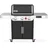 Weber Genesis Gasgrill