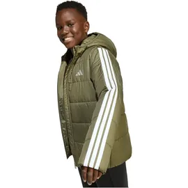 adidas Winterjacke Olive Strata/White 152